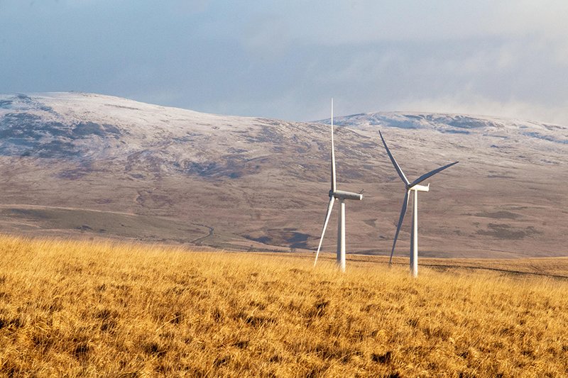 renewableenergy2.jpg